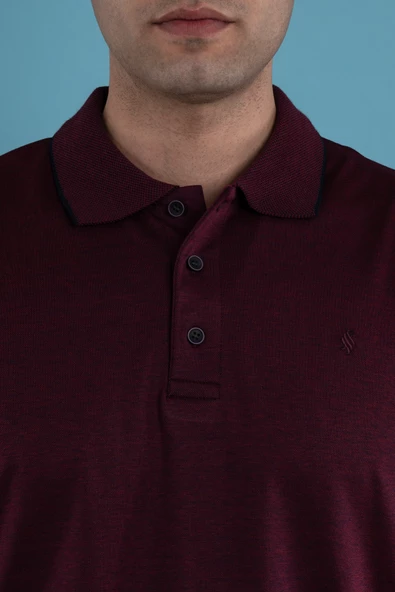 SAN&FA REGULAR FİT KESİM MERSERİZE ERKEK YAKALI T-SHİRT - Resim 7