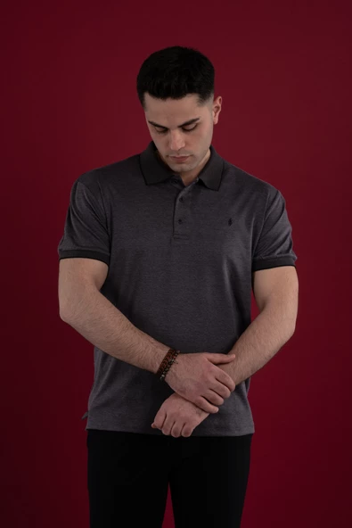 SAN&FA REGULAR FİT KESİM MERSERİZE ERKEK YAKALI T-SHİRT - Resim 10