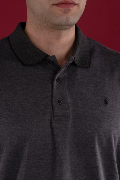 SAN&FA REGULAR FİT KESİM MERSERİZE ERKEK YAKALI T-SHİRT - Resim 12