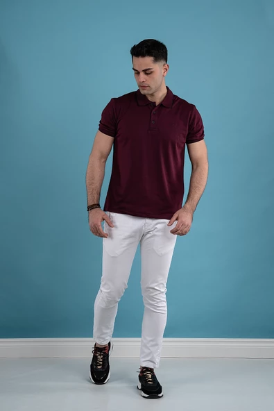 SAN&FA REGULAR FİT KESİM MERSERİZE ERKEK YAKALI T-SHİRT - Resim 9