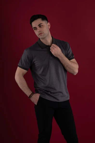 SAN&FA REGULAR FİT KESİM MERSERİZE ERKEK YAKALI T-SHİRT - Resim 11