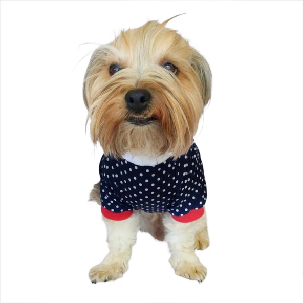 Dots Love Mom Oval Yaka Tişört Köpek Kıyafeti Köpek Elbisesi, Anneler Günü - 3