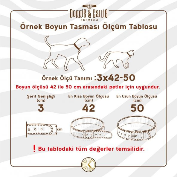 Doggie Konforlu Gerçek Deriden El Yapımı Kemik Süslü Köpek Boyun Tasması 4x52-60cm Camel - 5