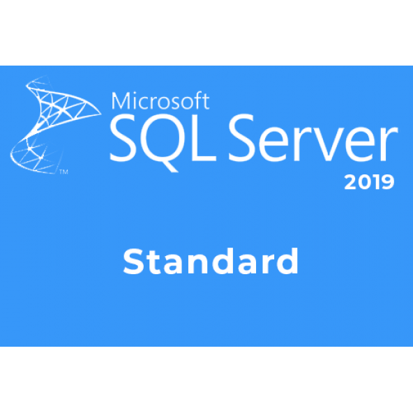 Microsoft Sql Server 2019 Standard Lisans