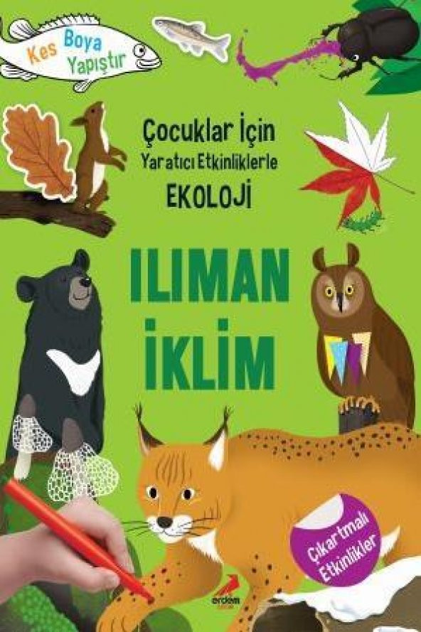 5 Yaş ve Üzeri Çocuklar İçin Yaratıcı Etkinliklerle Ekoloji Ilıman İklimi