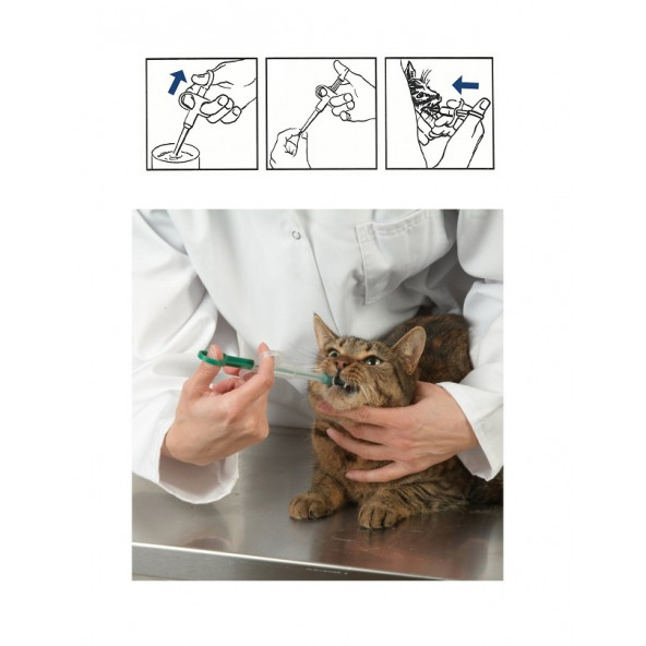 Buster Kedi Hap Yutturma Enjektörü 2 Adet - 3