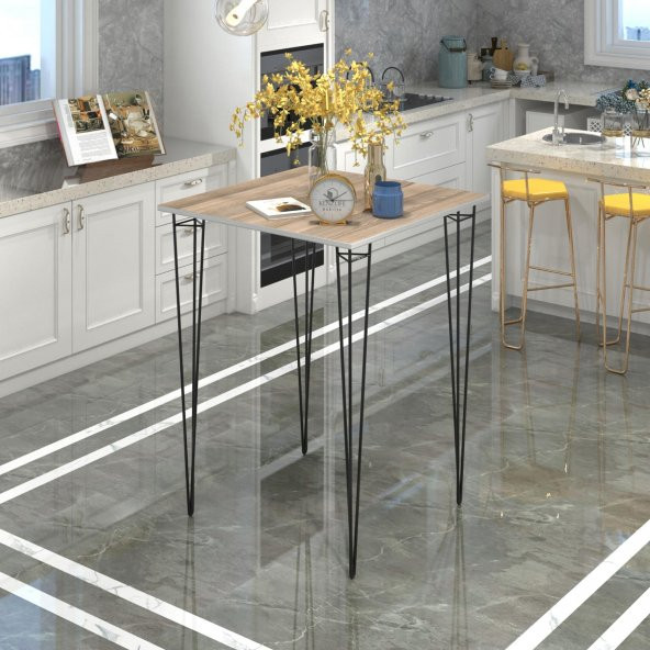 Knsz masa sandalye takımı hem105zengin crdsyh 080*080 4 sandalye syhsyh sırt minderli ürün görseli 1