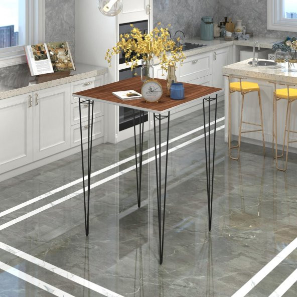Knsz masa sandalye takımı hem105zengin cvzsyh 070*070 2 sandalye syhsyh kolçaklı