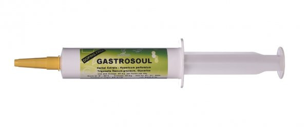 Equiform Gastrosoul Pasta 40 mg