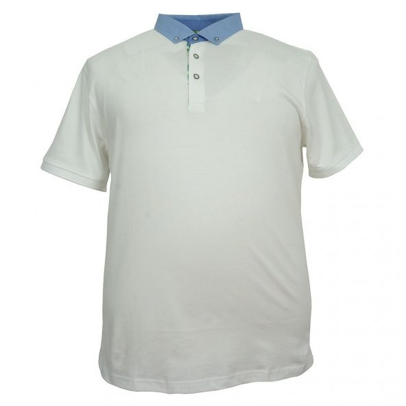 Erkek Büyük Beden Battal Boy Gömlek Yaka Likralı Tişört ( Beden Bilgisi Açıklama Bölümündedir ) - 4