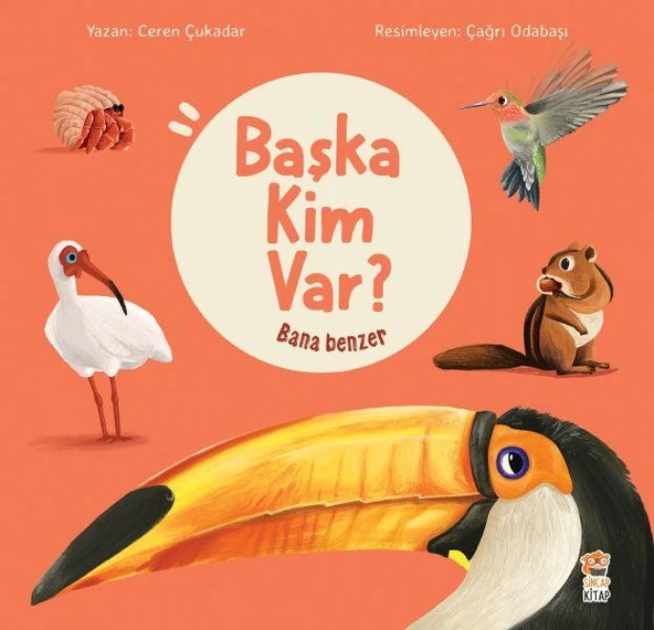 Bana Benzer Başka Kim Var CEREN ÇUKADAR