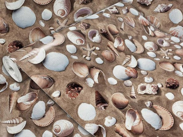 D-c-fix 343-1010 Deniz Kabuğu Desen Yapışkanlı Folyo (45cm x 1,5mt) - Resim 3