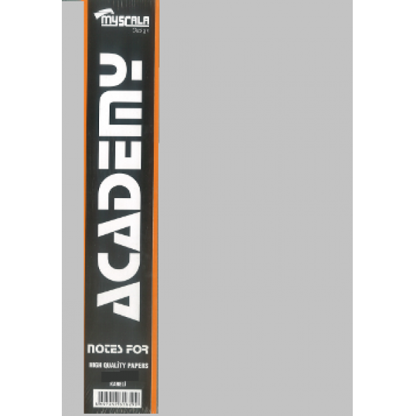 Defter 400 yaprak Ciltli 20x28 Sert Kapak Çizgisiz özkan 70 gr - 6