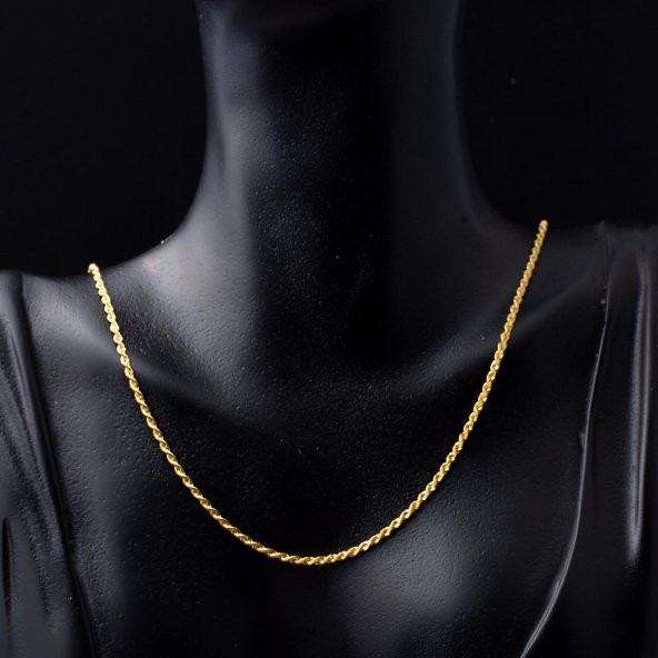 Burgu 14 Ayar Altın Zincir 50 cm. - Resim 2