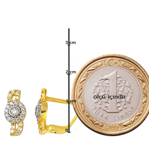 Tomurcuk 14 Ayar Altın Küpe - Resim 3