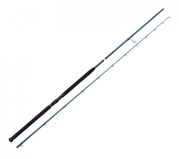 Savage Gear SGS2 Shore Jigging 96/2.90m 20-80 gr 2 Parça
