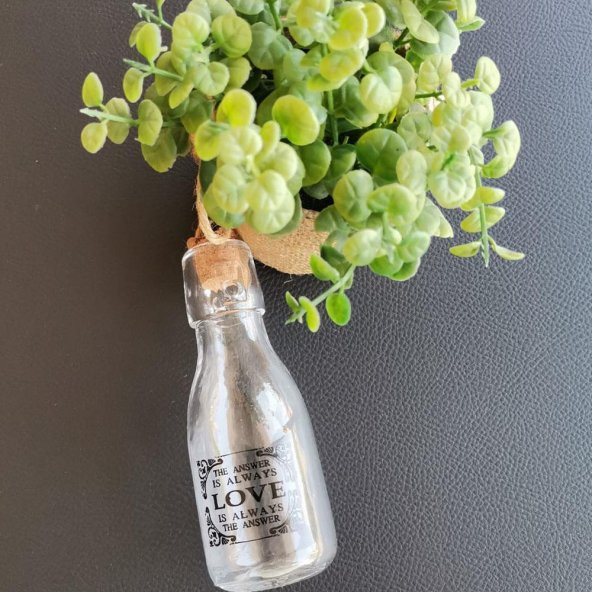 Evdiva Mantar Kapaklı Cam Lüx Mini Şişe 1 no