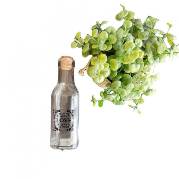 Evdiva Mantar Kapaklı Cam Lüx Mini Şişe 2 no