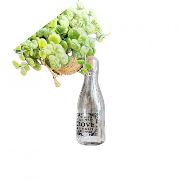 Evdiva Mantar Kapaklı Cam Lüx Mini Şişe 3 no