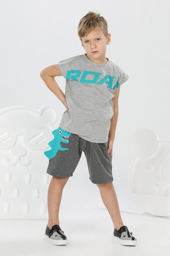 Roar 3D Erkek Çocuk Şort Alt Üst Takım LPY-21Y1-030