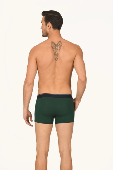 Yeşil Hendrix Modal Boxer - 2