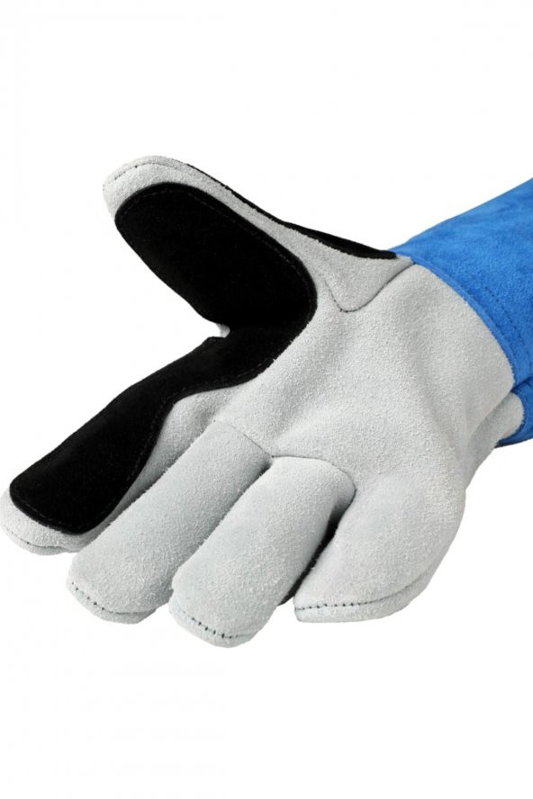 Veteriner Kedi Tutma Yakalama Eldiveni Deri - 2