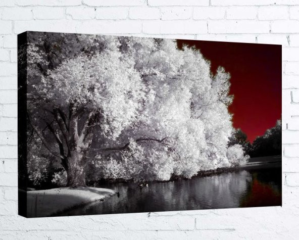 Kanvas Tablo - 40x60 cm  - Ağaç - AGC023