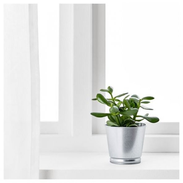 Galvanizli Gümüş Renk Saksı Bitki Çiçek Saksısı 9 cm MeridyenDukkan Çelik - 2