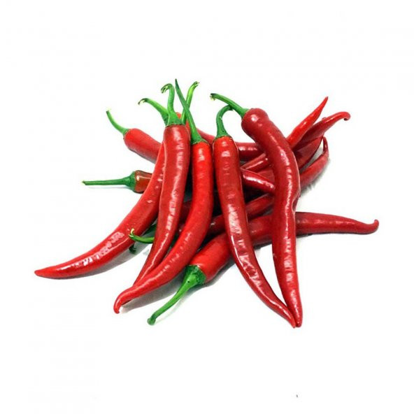 İTHAL DOĞAL ACI ŞİLİ BİBERİ ACI BİBER HOT CHILEAN PEPPER 100 AD TOHUM