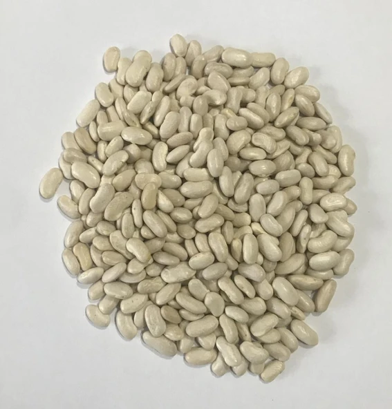 YERLİ ALMAN AYŞE SIRIK FASULYE TOHUMU 500 GR ürün görseli 1