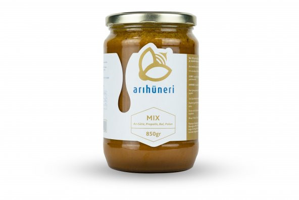 Arı Hüneri Mix (Arı Sütü-Bal-Polen-Propolis) 850 Gr - 2