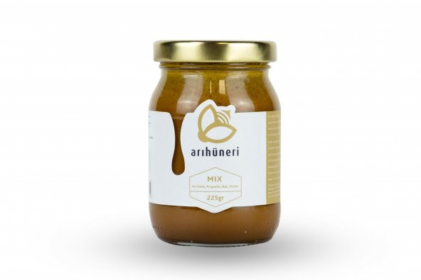 Arı Hüneri Mix (Arı Sütü-Bal-Polen-Propolis) 225 Gr - 2