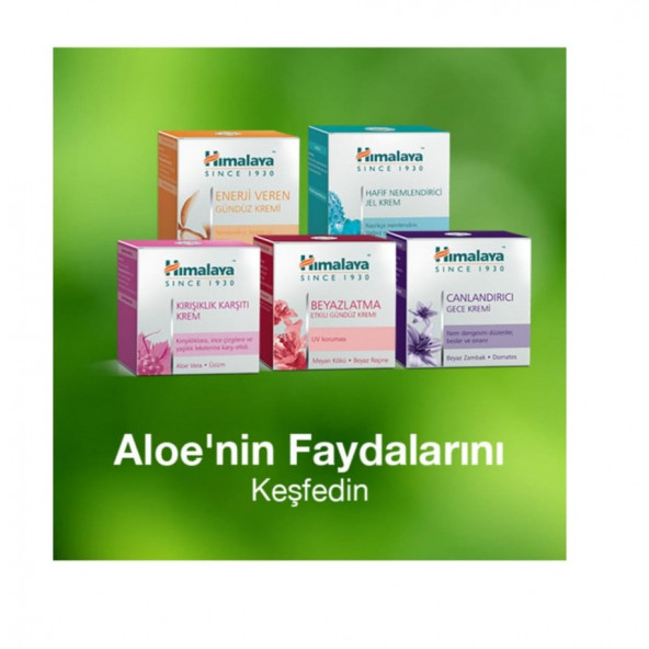 Himalaya Kırışıklık Karşıtı Yüz Kremi 50 Ml. - 4