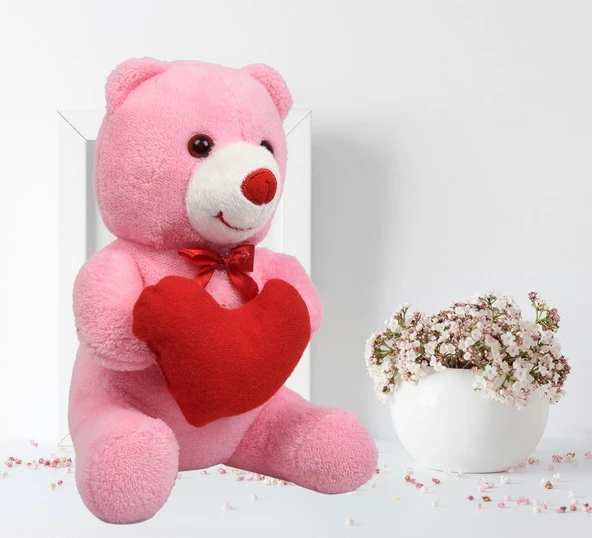 Sevdiklerinize Özel Kalp Tutan, Şirin Peluş Ayıcık - 30 cm - 7