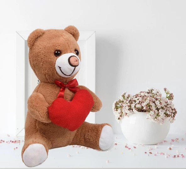 Sevdiklerinize Özel Kalp Tutan, Şirin Peluş Ayıcık - 30 cm