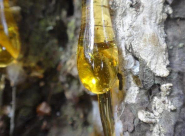 Mühür Mumu Çubuk Sıcak Tutkal 11mm x 20cm 3 lü Metalik Gümüş Renk - 3