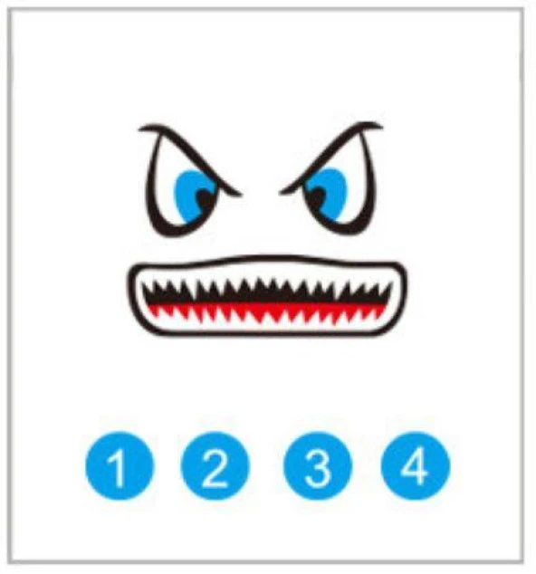 DJI Mavic 2 Pro KuşKaçıran MaviKöpekbalığı Göz Çıkartma Model6 ürün görseli