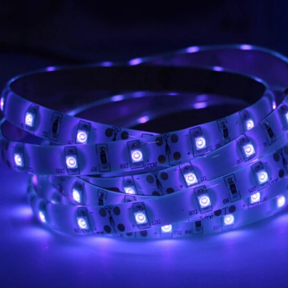 UV Şerit LED 3528 SMD 60/m Su Geçirmez 1mt 12V