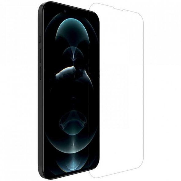 iPhone 12 Pro Max Blue Nano Ekran Koruyucu