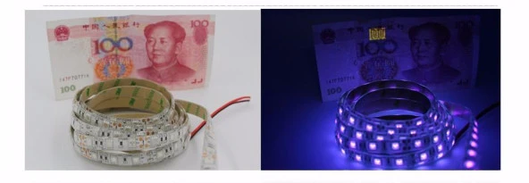 UV Şerit LED 5050 SMD 60/m İç Mekan 1mt 12V - 3