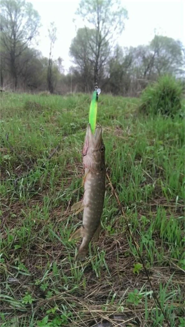 9 cm 7,5 gr ÇİFT KARBON ÇELİK KANCALI YEM - 5