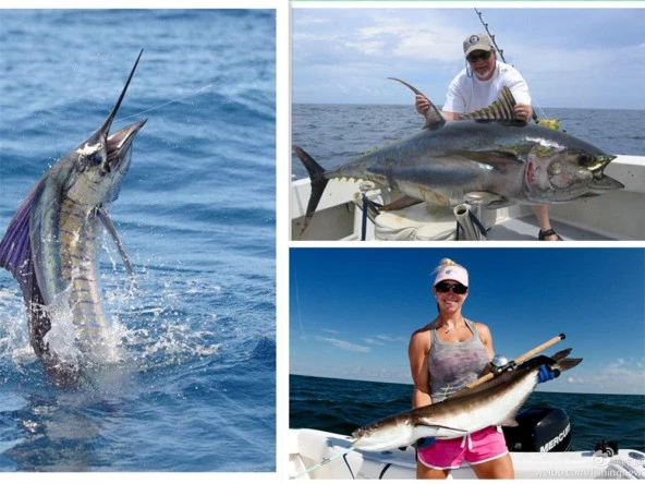 PROFISHER Metal Kurşun Balık Sert Yapay Yem R/W 115 gr 15,3 cm - Resim 2