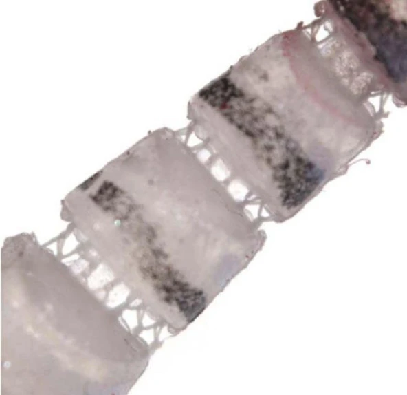 PROFISHER TPR Fosforlu Silikon Sahte Yem 5 cm 7 gr 5 Eklem - 2