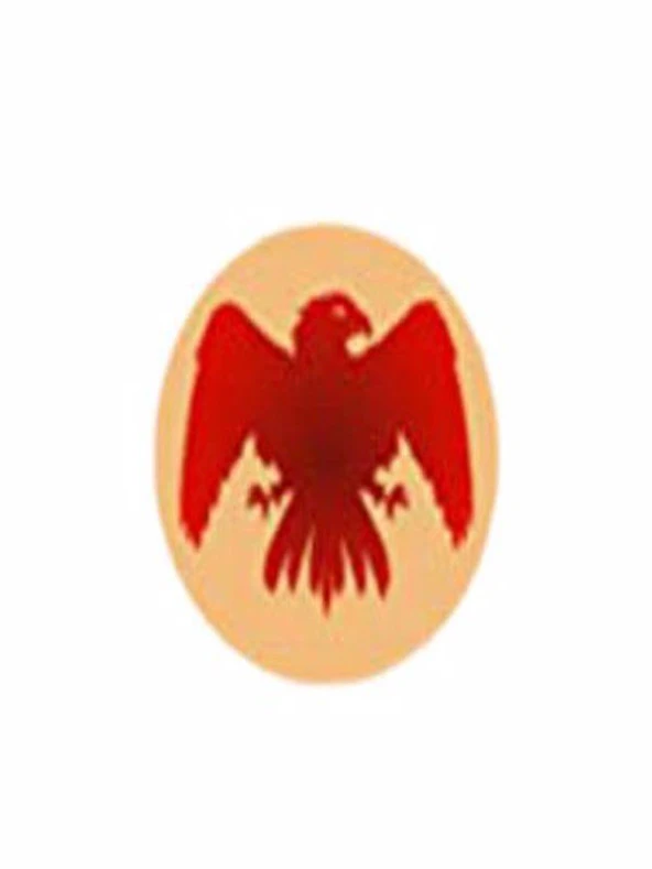 Mektup Damga Mühürü Arryn + 30 Mühür Mumu + Eritme Kaşığı - Resim 9