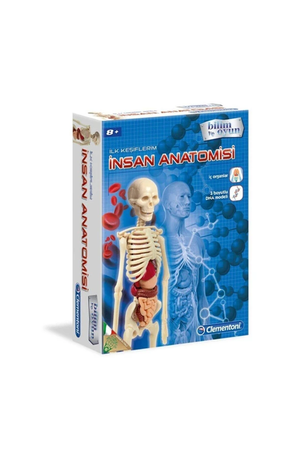 Clementoni İlk Keşiflerim - İnsan Anatomisi