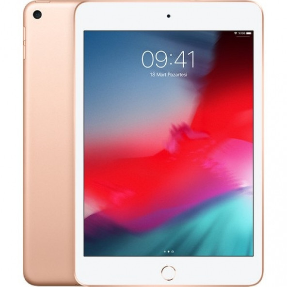 Apple iPad Mini 64 GB 7.9" Tablet - 4