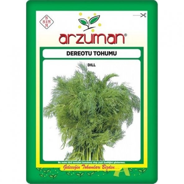 Arzuman Dereotu Tohumu (25 Gr) - 2