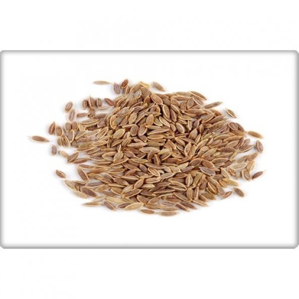 Arzuman Dereotu Tohumu (25 Gr) - 3