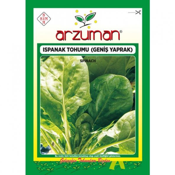 Arzuman (Ithal) Ispanak Tohumu 25 Gram