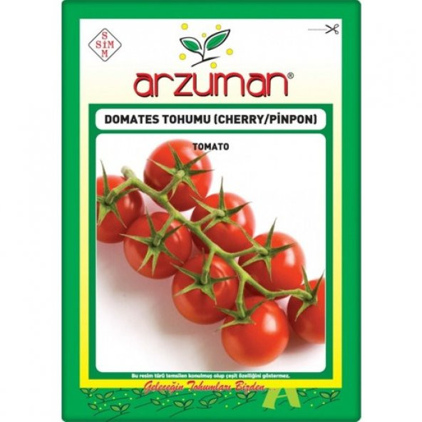 Arzuman Cherry Domates Tohumu (PINPON)(250 Adet) - Resim 2